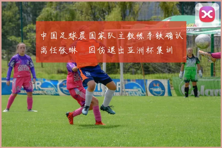 中国足球晨国家队主教练李铁确认离任张琳芃因伤退出亚洲杯集训
