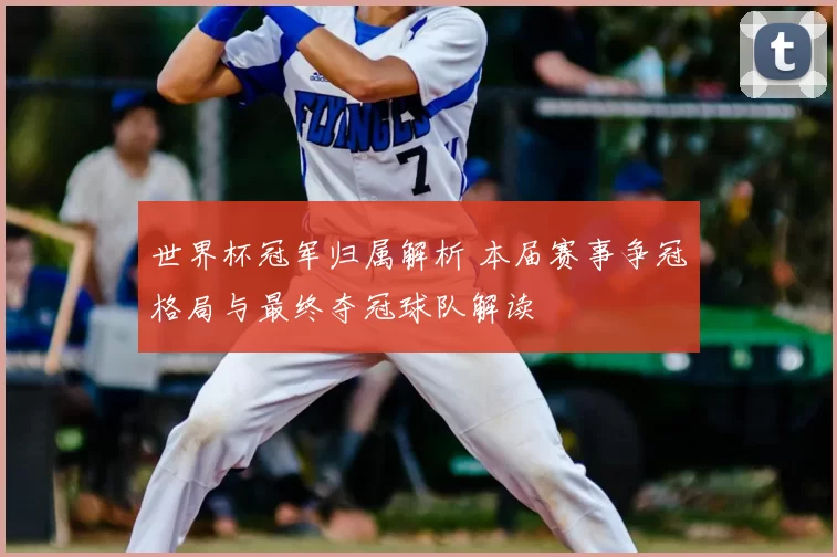 世界杯冠军归属解析 本届赛事争冠格局与最终夺冠球队解读